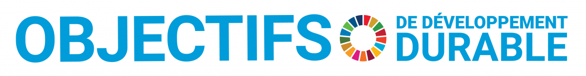 F_SDG_logo_without_UN_emblem_horizontal_WEB-1200x157.png