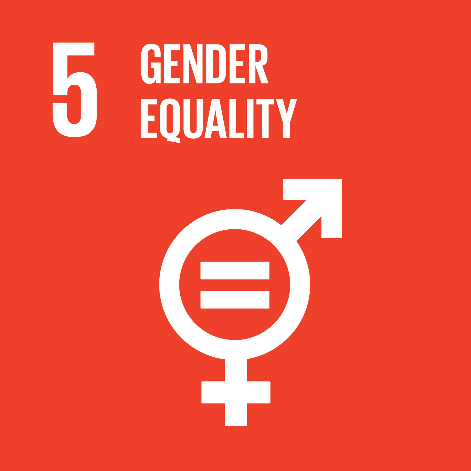 UN-SDG-goals_icons-individual-rgb-05-en.png