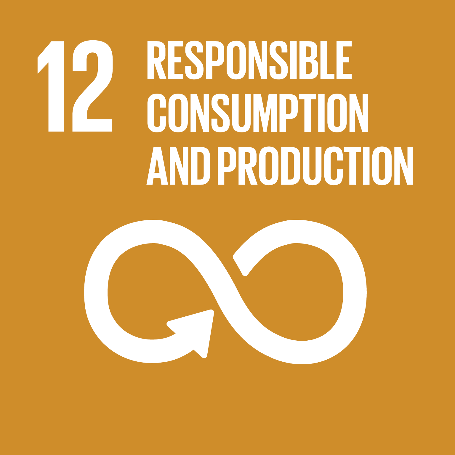 UN-SDG-goals_icons-individual-rgb-12-en.png