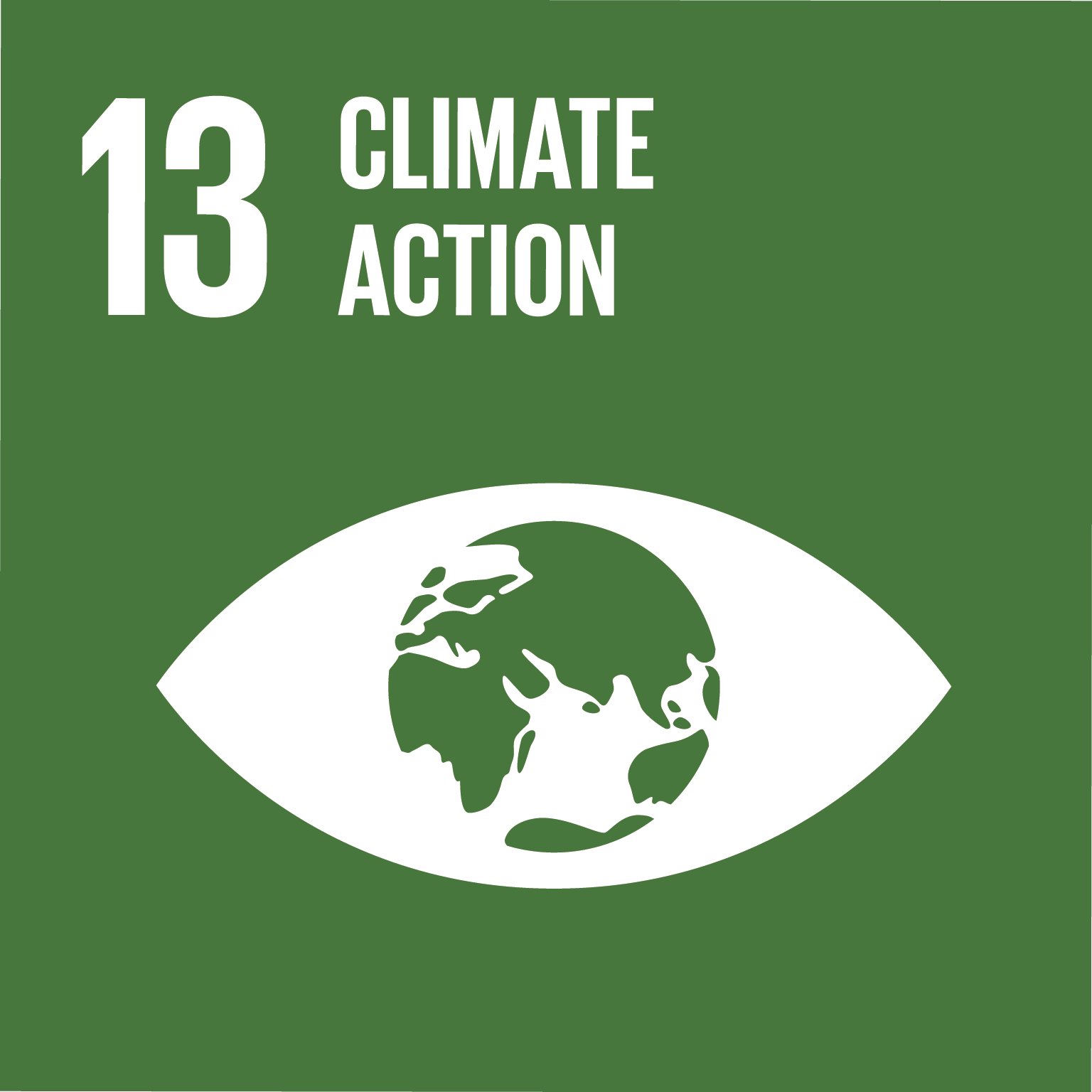 UN-SDG-goals_icons-individual-rgb-13-en.png