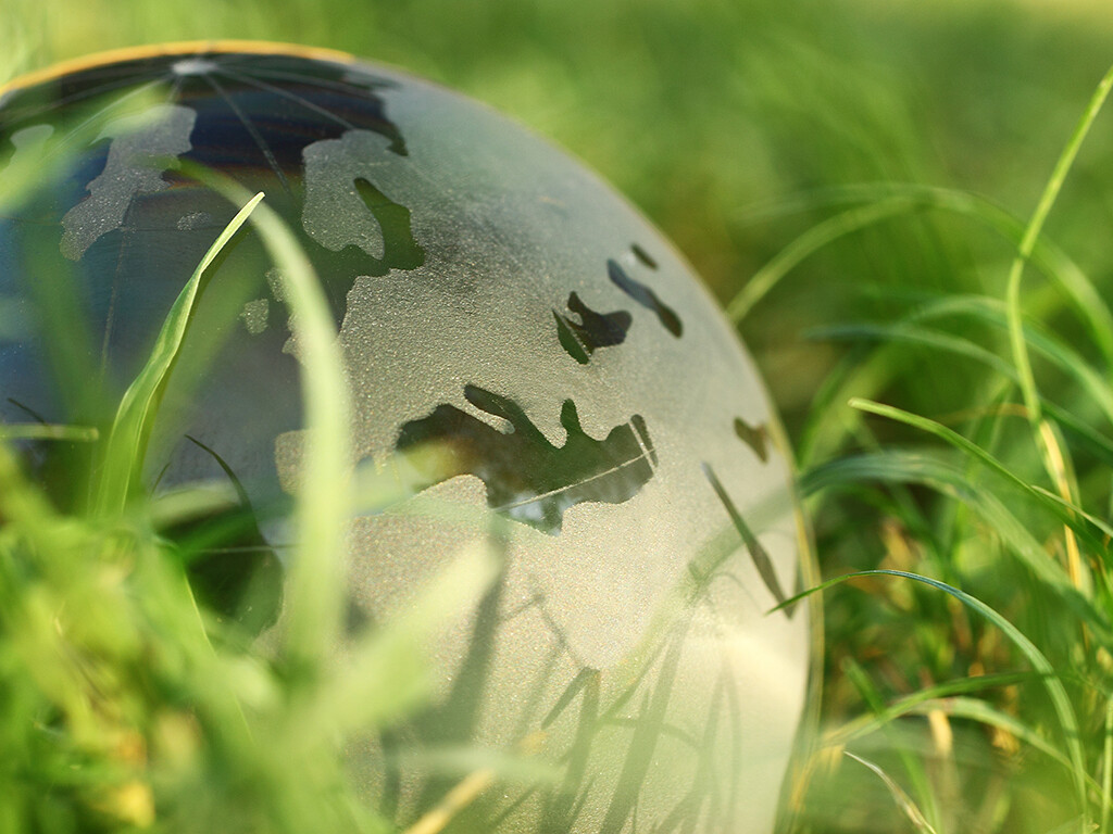 Globe in the grass