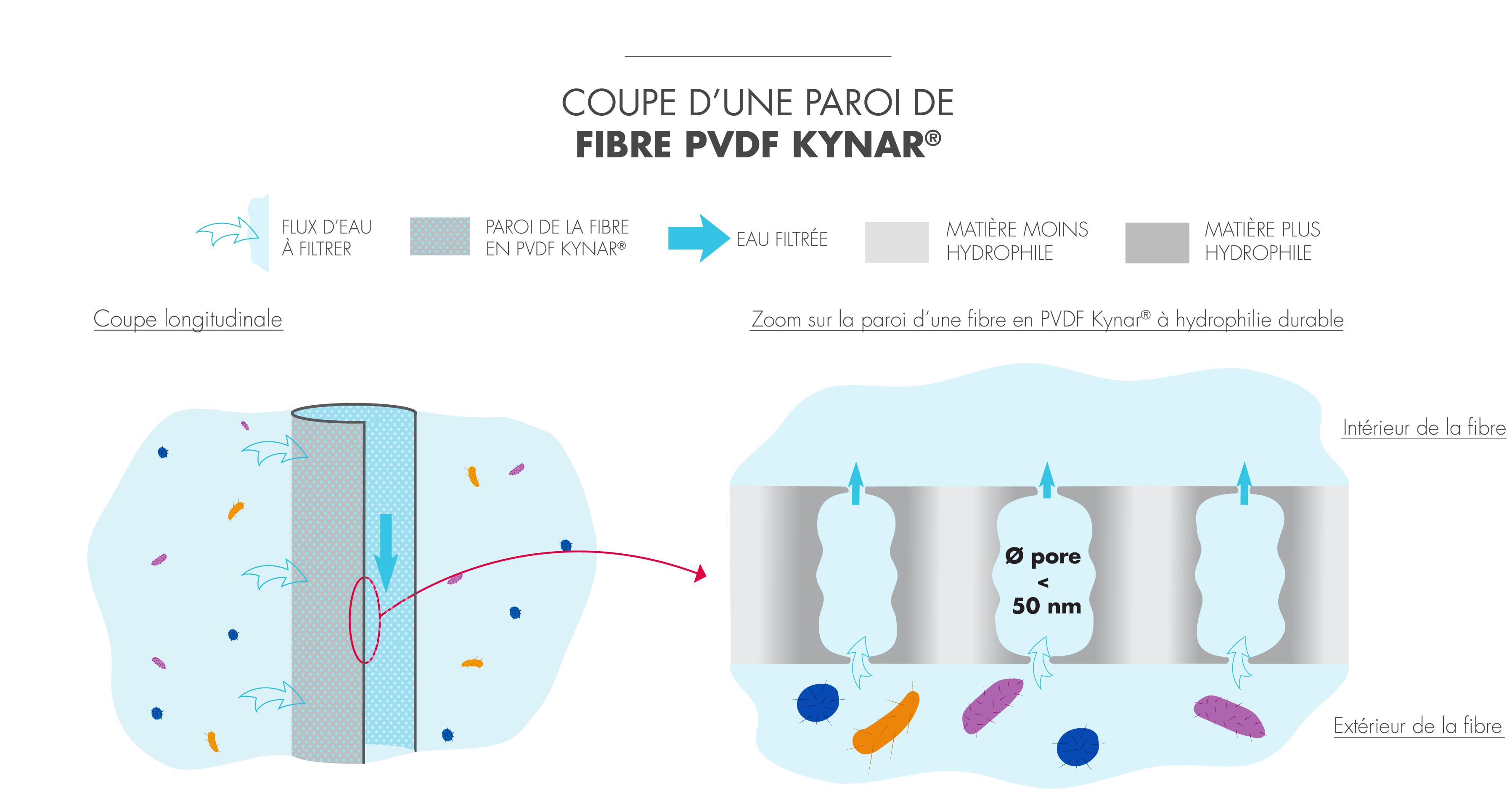 capsule-coupe-paroi-fibre-pvdf-kynar.png