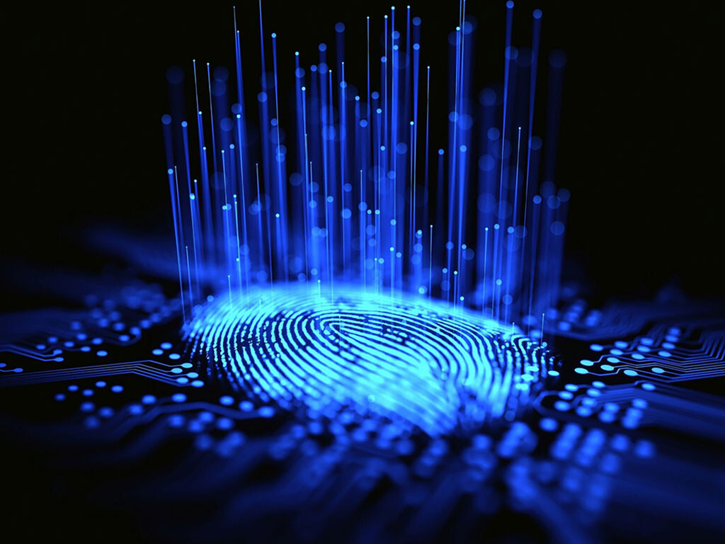 Digital fingerprint