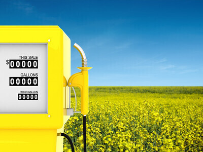Surtidor de combustible