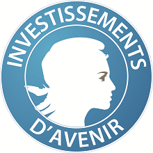 logo-investissements-d-avenir.png_1644223205.png