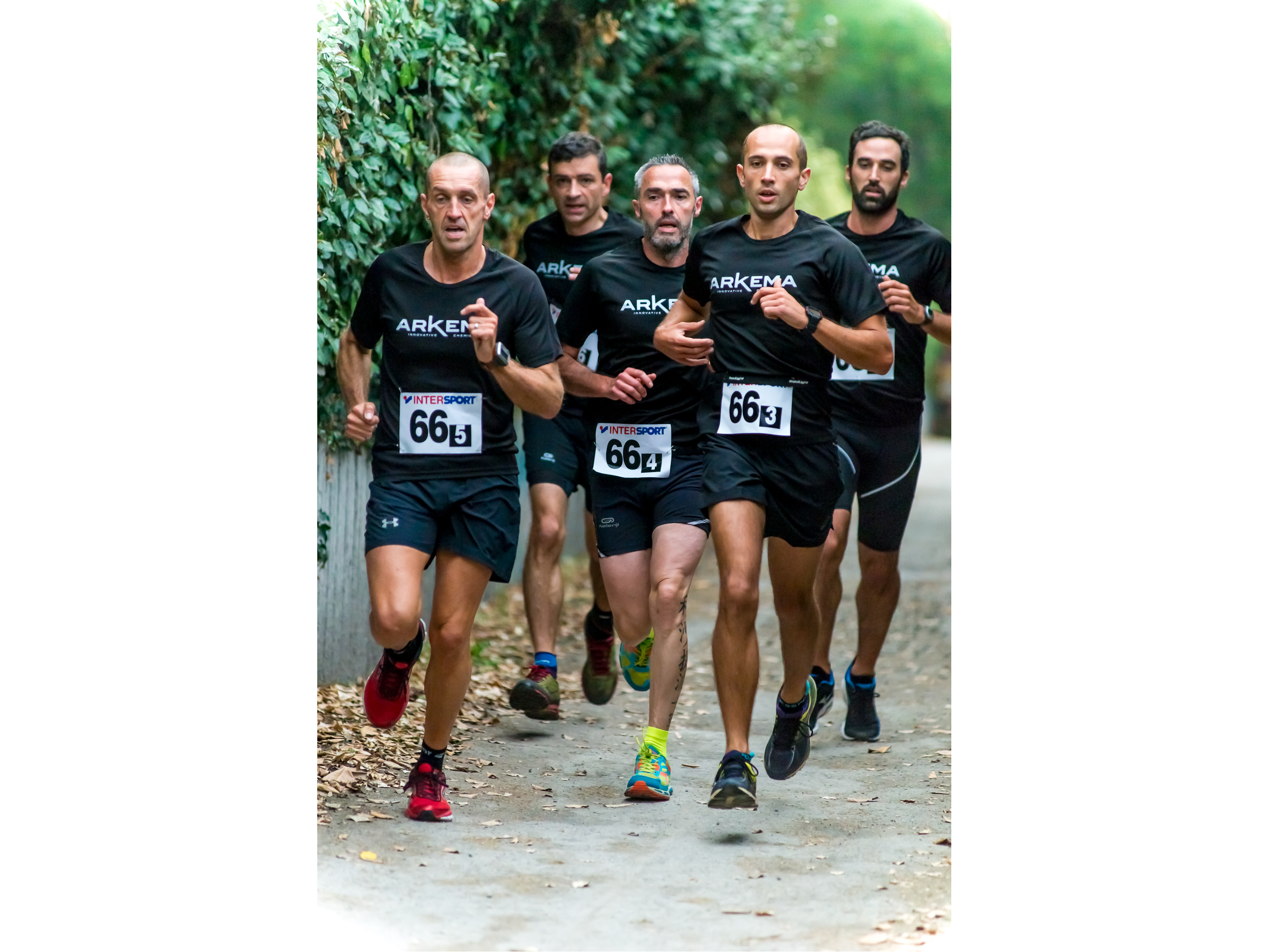 Les Lions du Béarn en pleine action ! © Christophe Dauphin