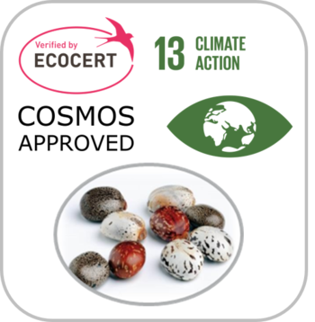 Bkgd_Climate Action EcoCert Beans-4-resize350x358.png