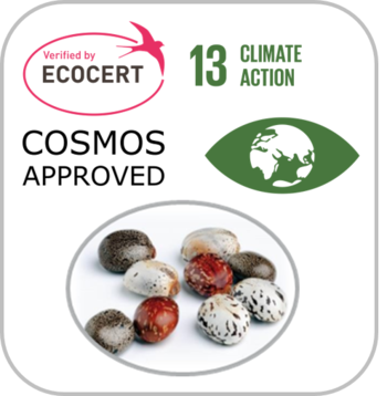 Bkgd_Climate Action EcoCert Beans-4-resize350x358.png