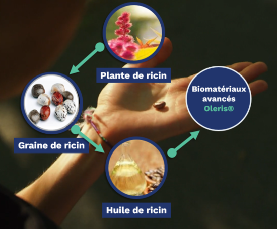 De la graine de ricin aux biomatériaux avancés