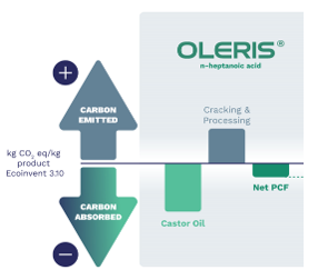 Reduce scope 3 and product carbon footprint.png
