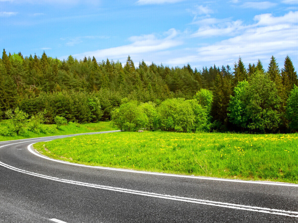 Route en bon état au milieu d'une forêt