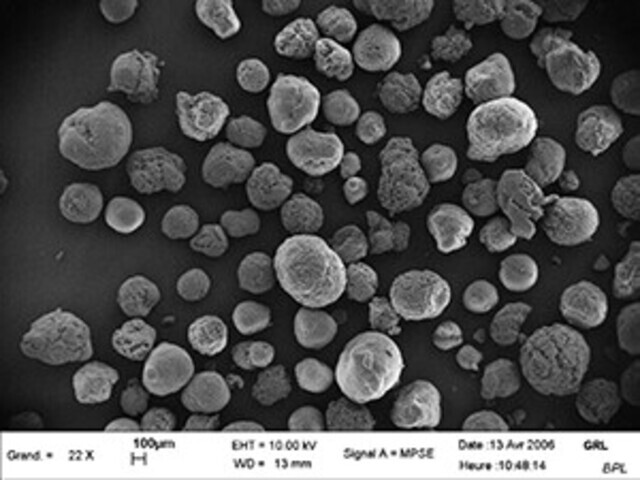 Microscopic view od Graphistrength® powder