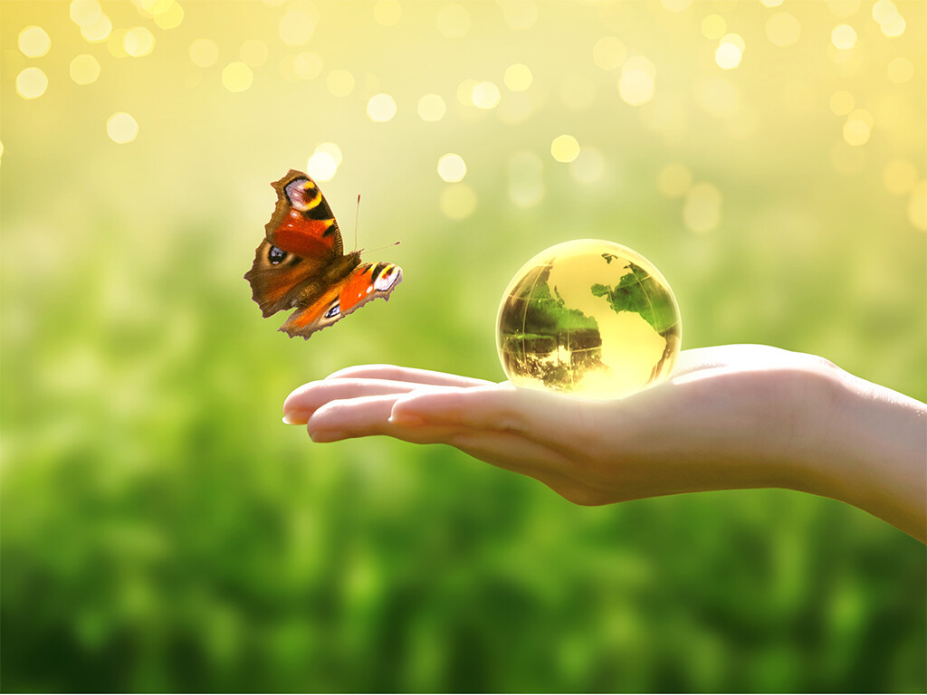 Earth globe and butterflies representing bio-based waterborne pigment dispersant