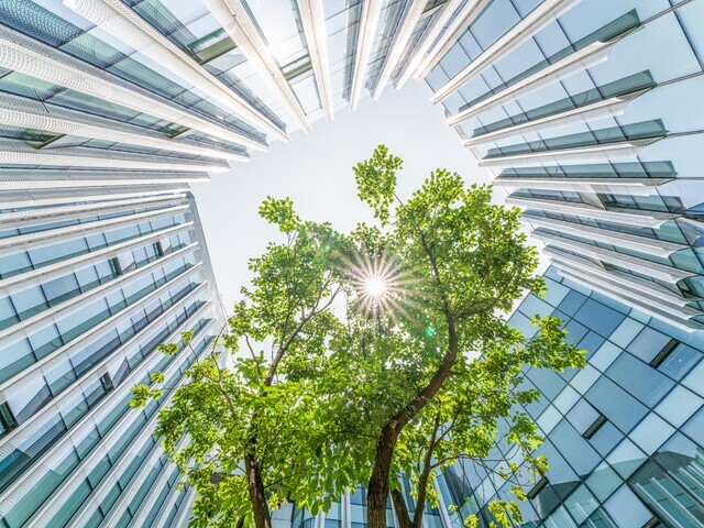 Paisaje Urbano