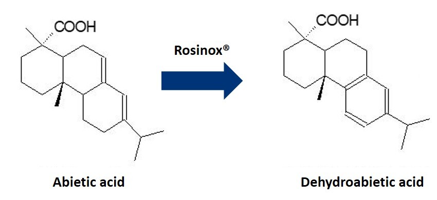 Roxinox AA to DA.jpg