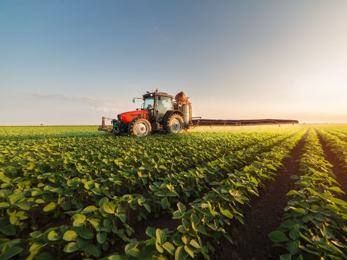 HHZ (hidrato de hidrazina)