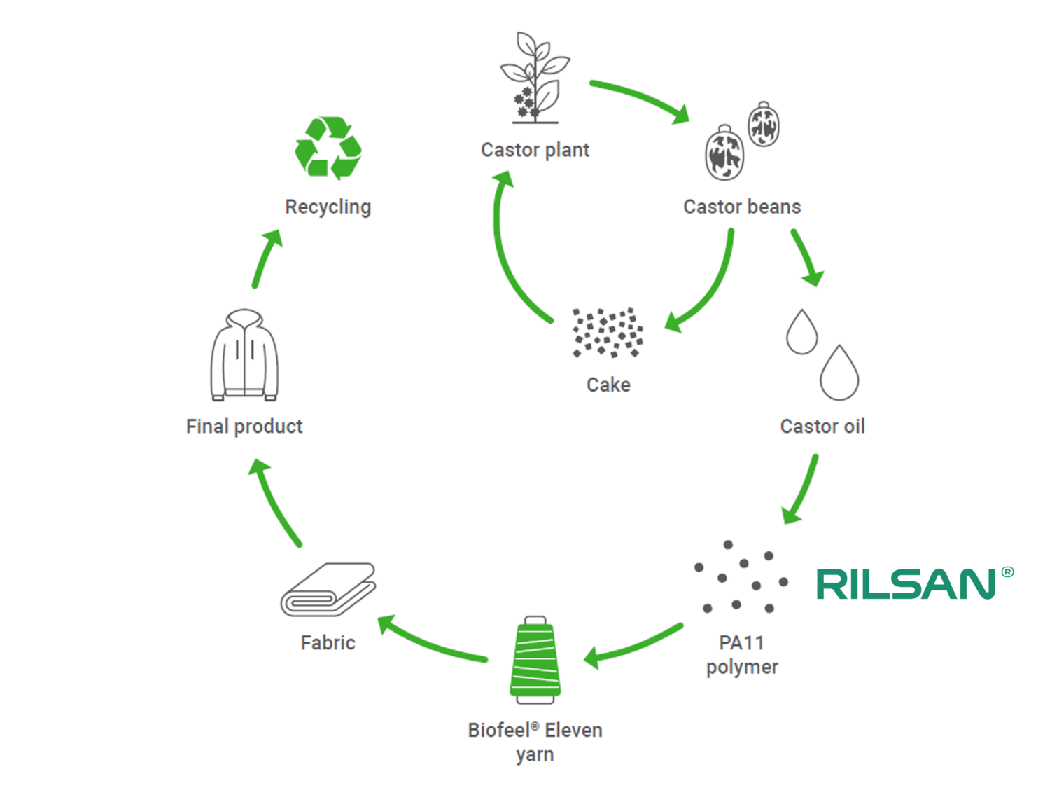 The image describes the process to make the Biofeel Eleven yarn from Radici from castor beans and how it is used afterwards to make garments